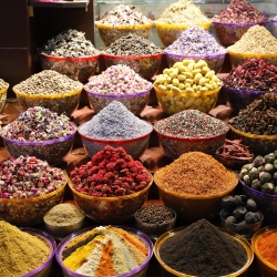 Proche & Moyen Orient